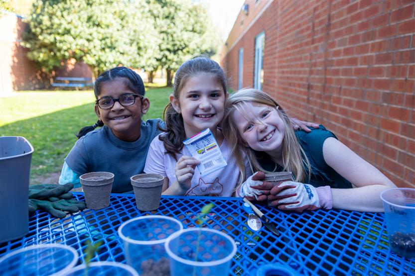 Students plant seeds
